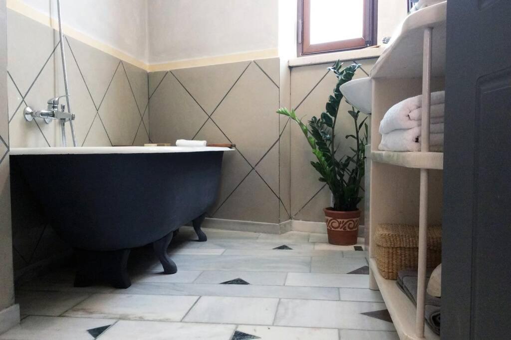 Unique - Spacious Studio With Rooftop / Thissio Atena Exterior foto